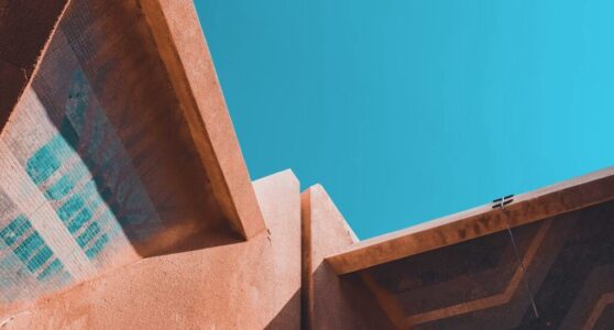 Brand Identity Launch